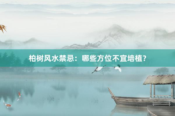 柏树风水禁忌：哪些方位不宜培植？